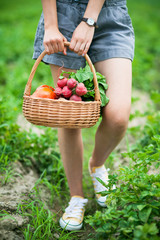 Woman with basket of harvested vegetables