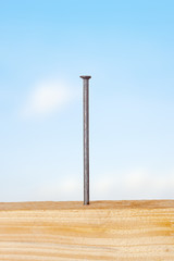 Wooden board with nails