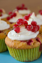 Johannisbeermuffins