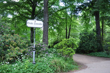 Große Queralle im Tiergarten, Berlin
