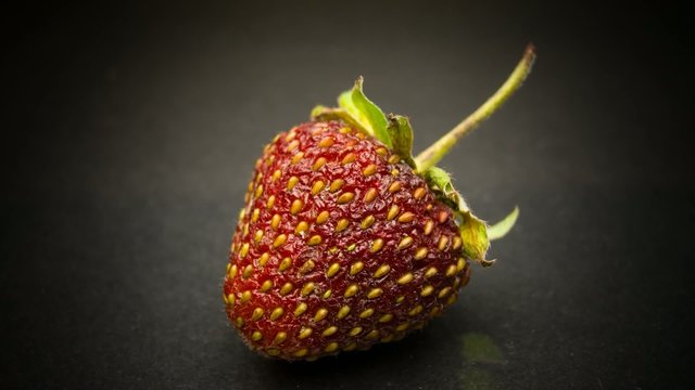 Moldy Strawberry