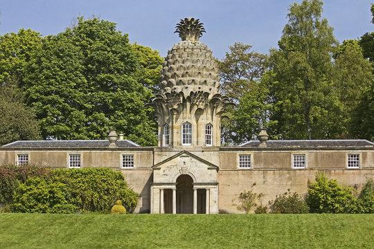 The Pineapple Dunmore