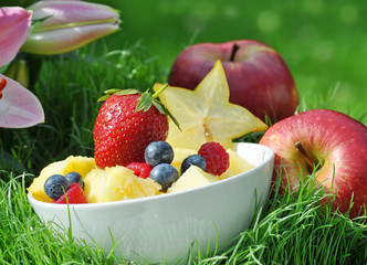 Gesunde Ernährung mit Obst