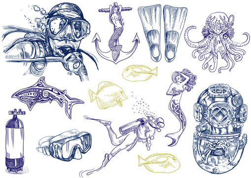 diving-the life of aquatic (hand drawing collection of sketches)