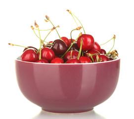 fresh cherry in violet bowl isolated on white