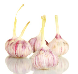 young garlic isolated on white background