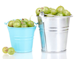 Green gooseberry in metal buckets isolated on white