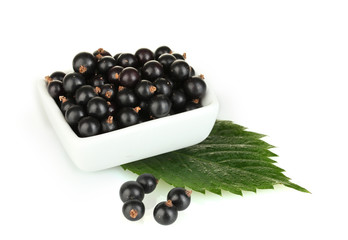 Fresh black currant in white bowl isolated on white