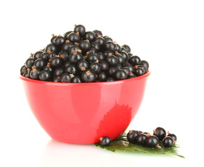 Fresh black currant in red bowl isolated on white
