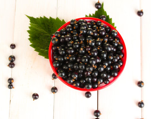 Fresh black currant in colorful bowl
