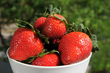 Bowl of strawberries