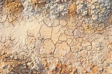 Cracks in dry and parched earth