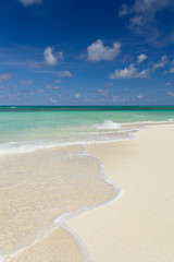 Tropical beach at summer sunny day, vertical composition
