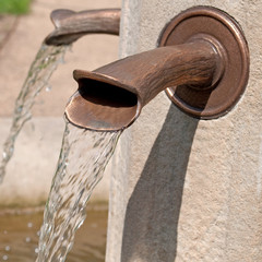 Wasserspeier