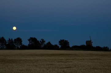 Moon over windmill and a cornfield