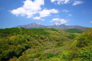 Fototapeta premium Mt. Yatsugatake of fresh green