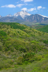 Mt. Yatsugatake of fresh green