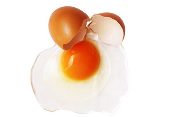 egg