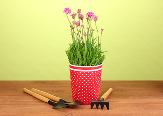 Pink flowers in pot with instruments