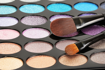shadow kit with brushes for make-up