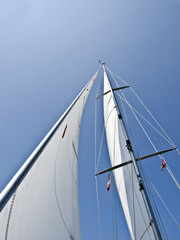 Obraz premium Segeln auf der Ostsee