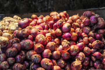 Red onions