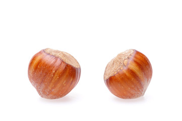 hazelnuts