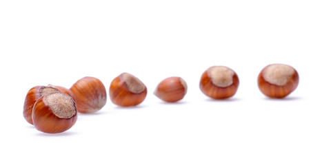 hazelnuts