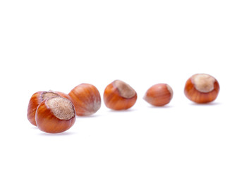 hazelnuts