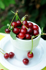 Сup full of fresh cherries