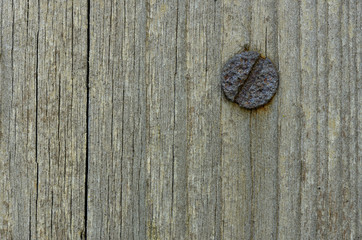 Holz mit rostigem Nagel