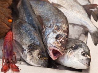 Pesce Fresco