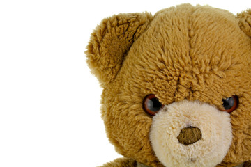 Teddy