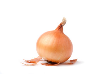 Onion bulb on white background