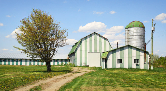 Green Farm