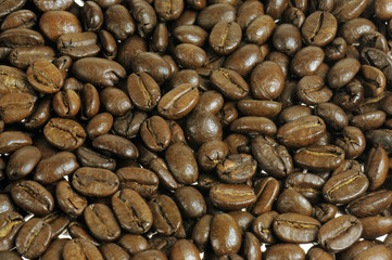 Coffee beans close up