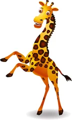 Papier Peint photo Lavable Zoo dessin animé mignon girafe isolé sur fond blanc