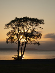 クッチャロ湖夕景