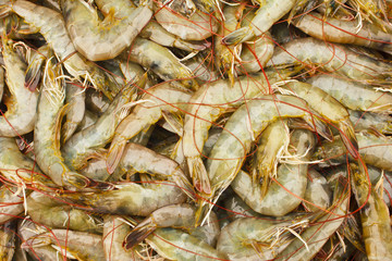 fresh Prawn