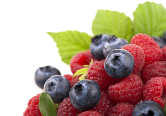 forest berries, border , isolated on a white background