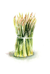 Fresh green asparagus - 43226622