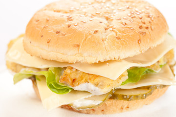 cheeseburger on the plate