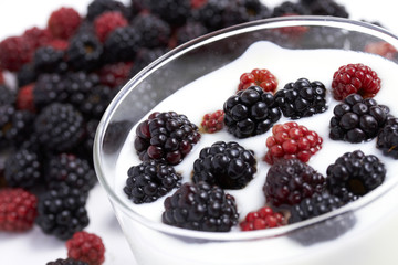 Yogurt with fresh blackberry fruit