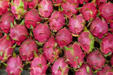 dragon fruit