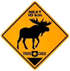 Foto op Canvas Moose Crossing © Image In Photos