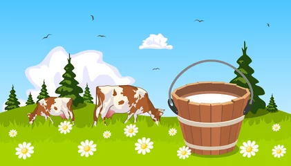 Poster Ferme Vache sur prairie seau de lait au premier plan
