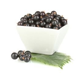 Fresh black currant in white bowl isolated on white