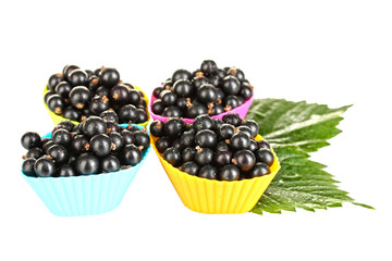 Fresh black currant in silicone molds isolated on white