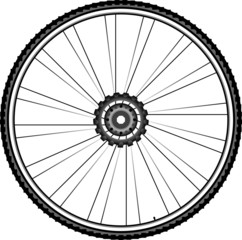 Bike wheel - vector illustration isolated on white background