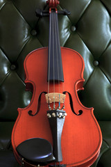 violin on luxury dark green leather background